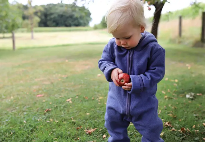 Kinder-Herbstmode Ein Kleinkind in einem blauen Strampler steht auf einer Wiese und hält Äpfel inmitten einer malerischen Parklandschaft in den Händen. Das Preisschild ist in der Ecke zu sehen.