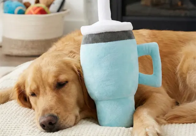Ein Golden Retriever ruht friedlich seinen Kopf an einem plüschigen, übergroßen Trinkbecher-Spielzeug, mit einer gemütlichen Wohnzimmerkulisse im Hintergrund.