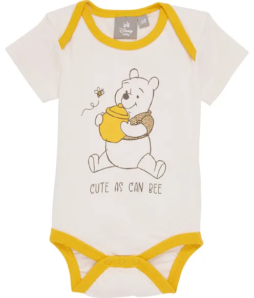 Winnie Pooh Body