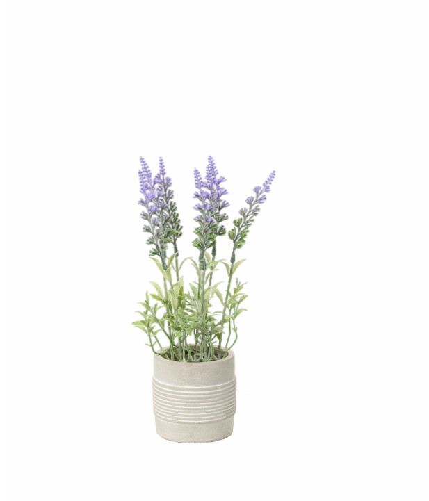 Kunstblume
