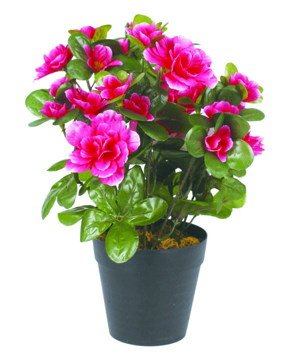 Kunstblume