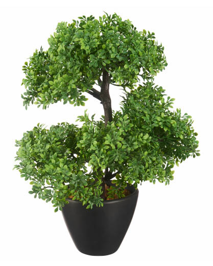 Kunstbonsai