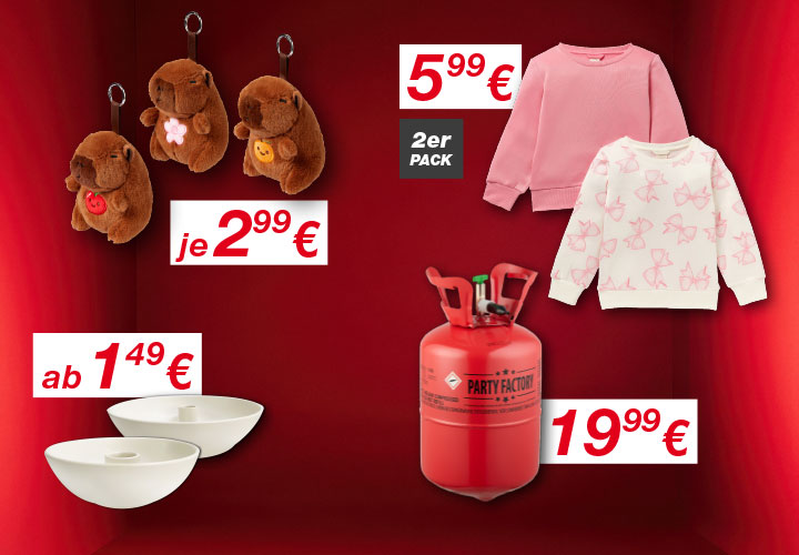 Das Bild zeigt einen roten Hintergrund, auf dem verschiedene Produkte zu sehen sind: Schüsseln, eine Gasflasche, Kinderkleidung und Plüsch-Schlüsselanhänger mit Preisangaben.